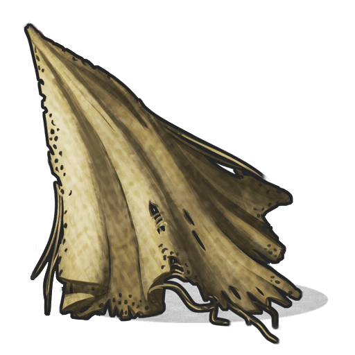 item cloth